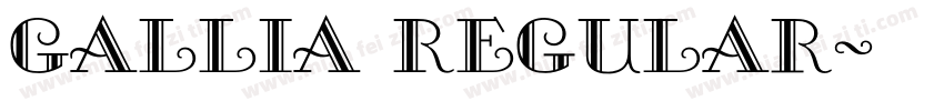 Gallia Regular字体转换